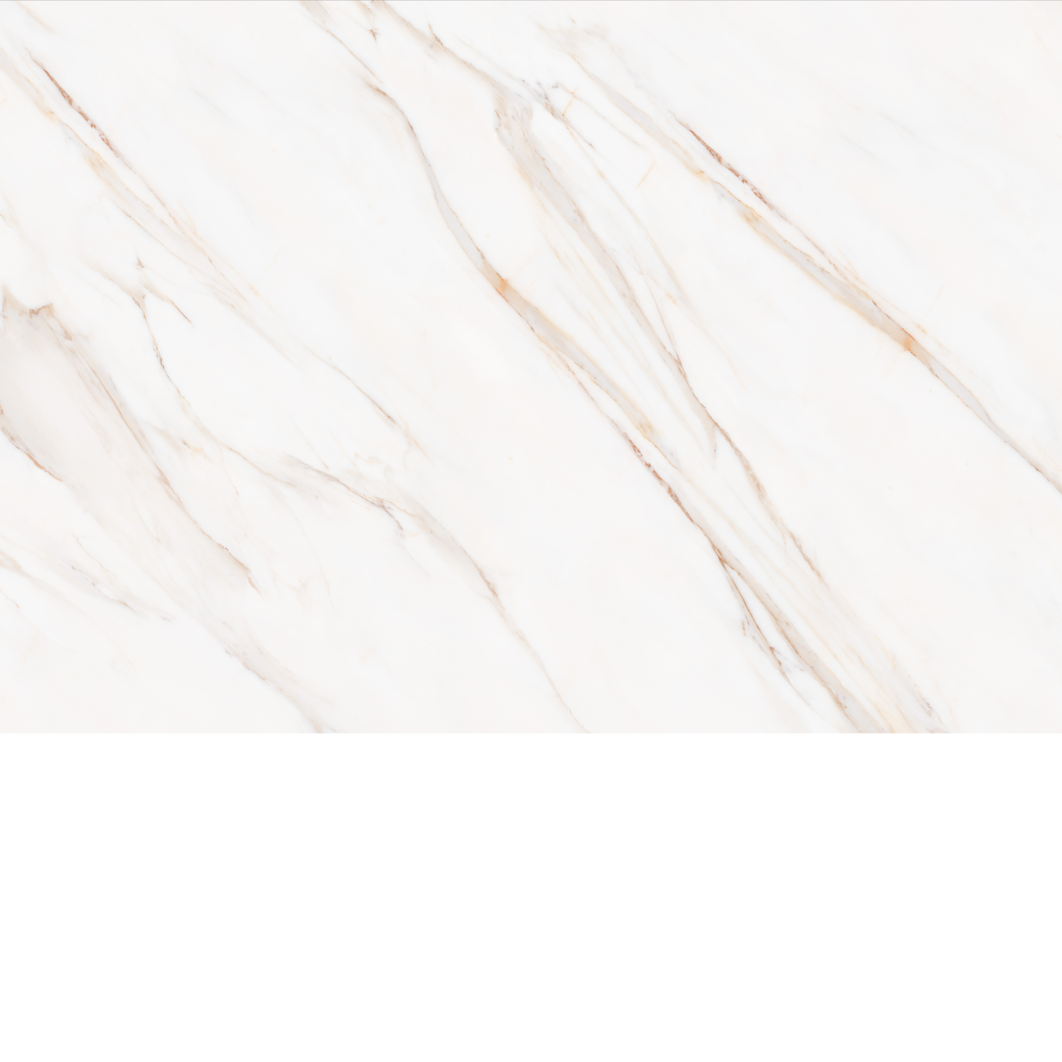 New Calacata Gold