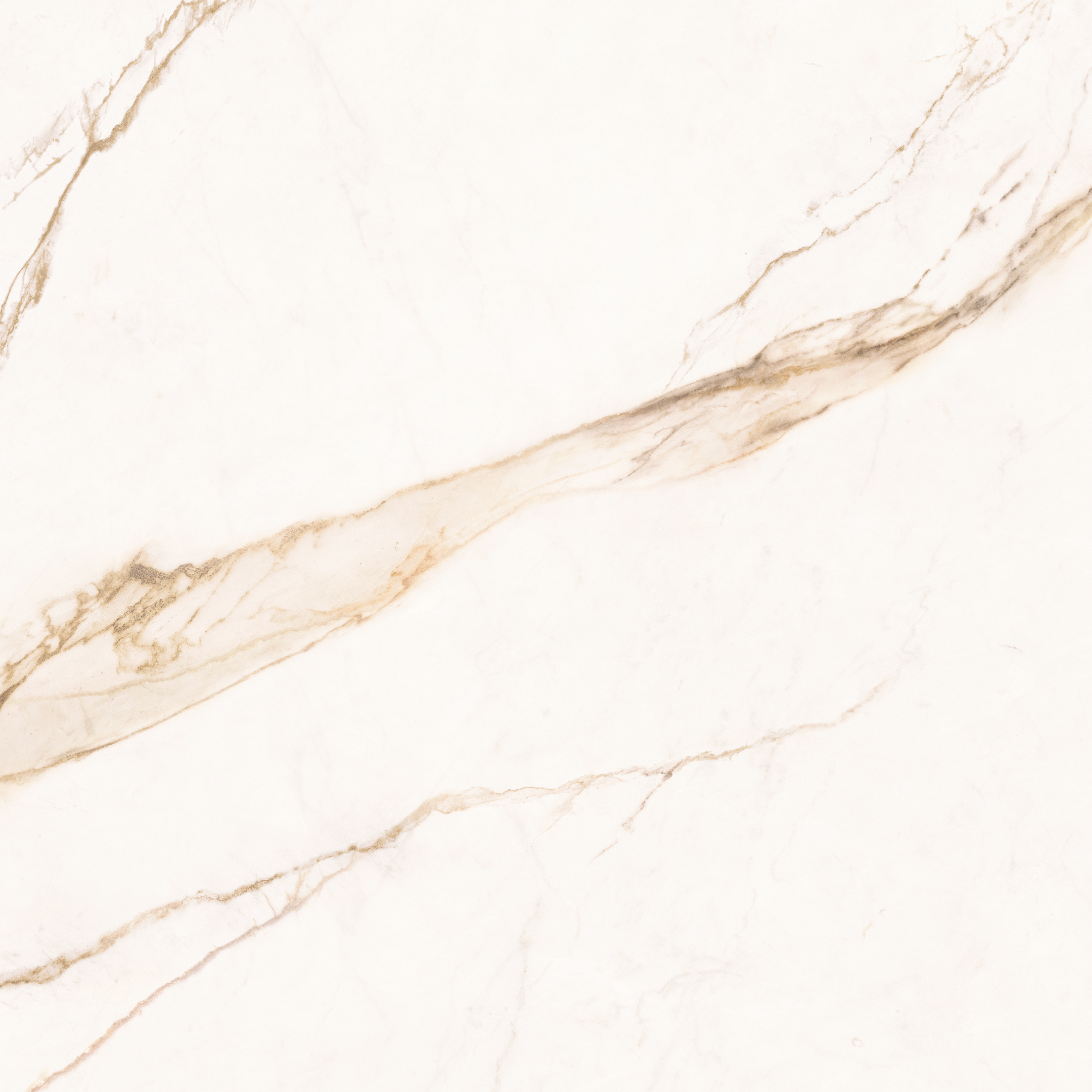 New Calacata Royale